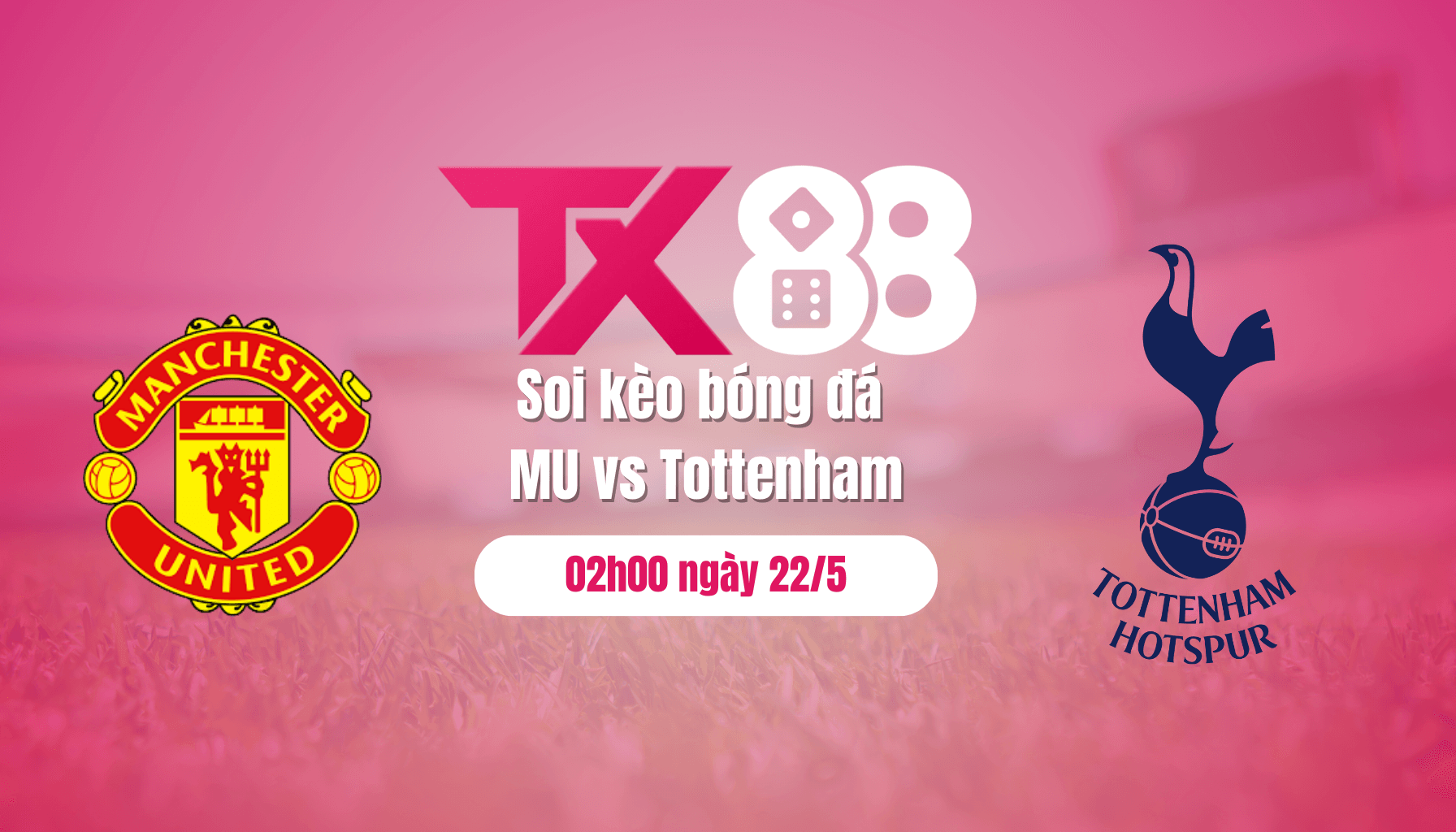 TX88 Soi kèo bóng đá MU vs Tottenham, 02h00 ngày 22/5: Xin chào Quỷ vương!